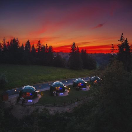 Hotel Peak Glamp & Jacuzzi Zakopane Esterno foto